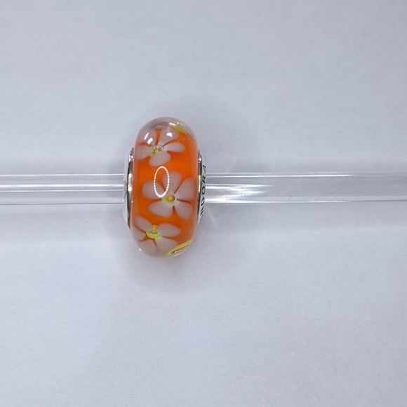 Retired Pandora Charm - Picture 2 of 3